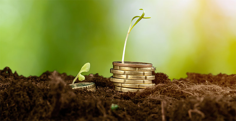 HHC-earnings